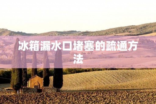 冰箱漏水口堵塞的疏通方法 冰箱漏水口堵塞的疏通方法