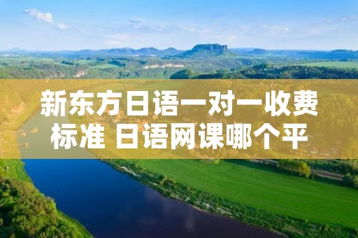 新东方日语一对一收费标准 日语网课哪个平台好 新东方日语一对一收费标准 日语网课哪个平台好
