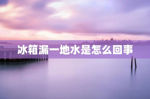 冰箱漏一地水是怎么回事 冰箱漏一地水是怎么回事