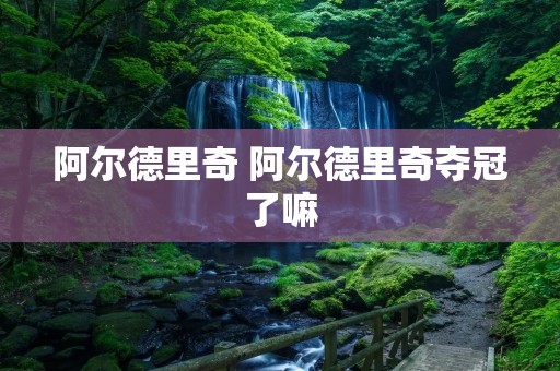 阿尔德里奇 阿尔德里奇夺冠了嘛