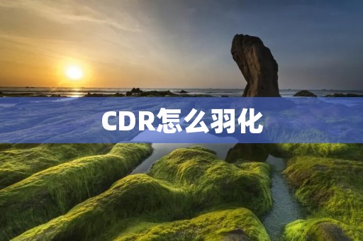 CDR怎么羽化:实现中国科技企业的全球化发展