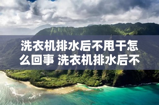 洗衣机排水后不甩干怎么回事 洗衣机排水后不甩干怎么回事 洗衣机排水后不甩干怎么回事 洗衣机排水后不甩干怎么回事