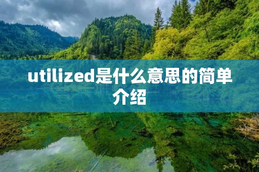 utilized是什么意思的简单介绍