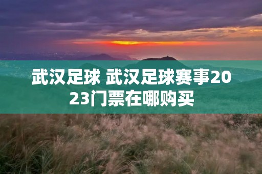 武汉足球 武汉足球赛事2023门票在哪购买