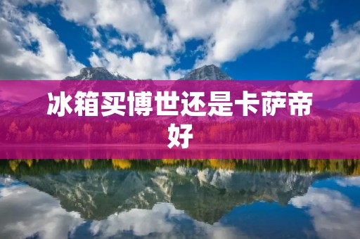 冰箱买博世还是卡萨帝好 冰箱买博世还是卡萨帝好