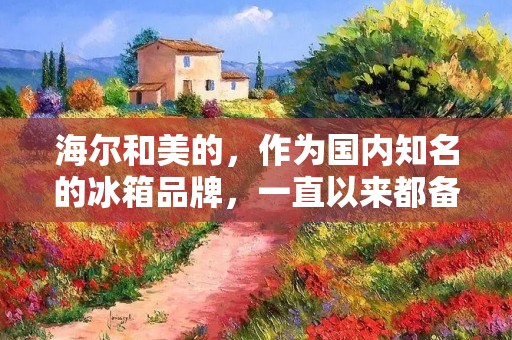 海尔和美的，作为国内知名的冰箱品牌，一直以来都备受消费者的关注和喜爱。那么，究竟是选择海尔还是美的的冰箱更好呢？下面将从多个方面进行详细比较。