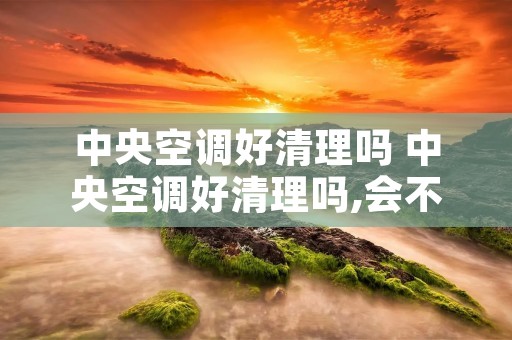 中央空调好清理吗 中央空调好清理吗,会不会有很多虫子