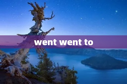 went went to