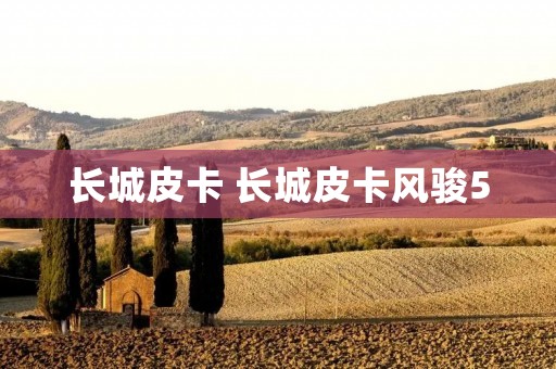 长城皮卡 长城皮卡风骏5