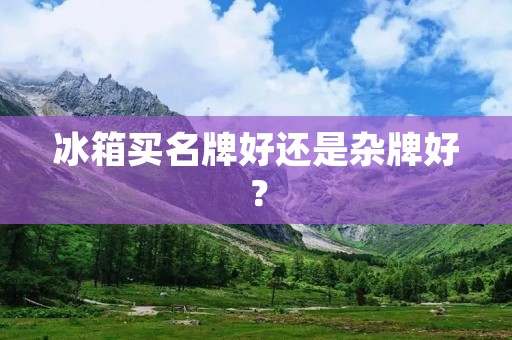 冰箱买名牌好还是杂牌好？