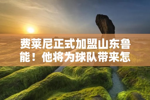 费莱尼正式加盟山东鲁能！他将为球队带来怎样的改变？