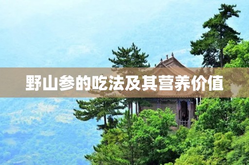 野山参的吃法及其营养价值