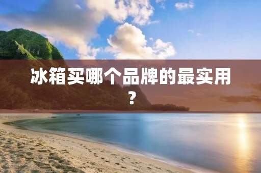 冰箱买哪个品牌的最实用? 冰箱买哪个品牌的最实用?