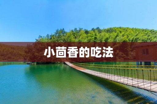 小茴香的吃法:多种方法让你享受其独特的风味和药用价值