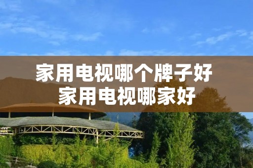 家用电视哪个牌子好 家用电视哪家好