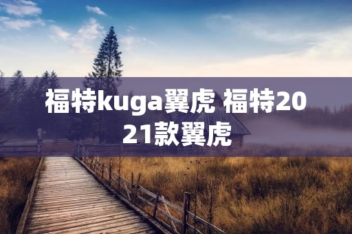 福特kuga翼虎 福特2021款翼虎