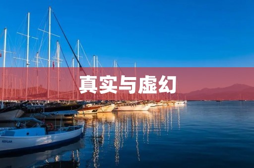 真实与虚幻：探寻真实的反义词