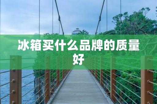 冰箱买什么品牌的质量好：详细解析