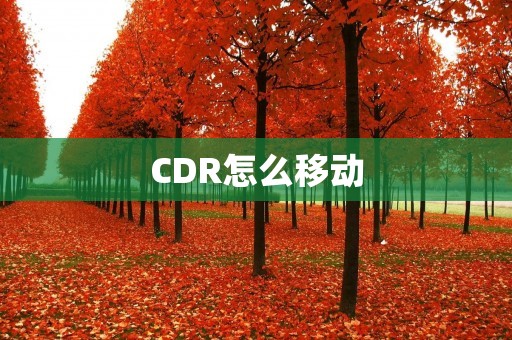 CDR怎么移动
