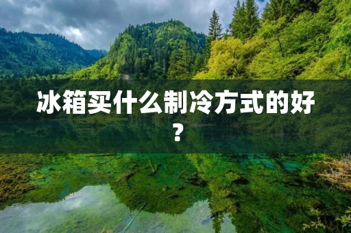 冰箱买什么制冷方式的好? 冰箱买什么制冷方式的好?