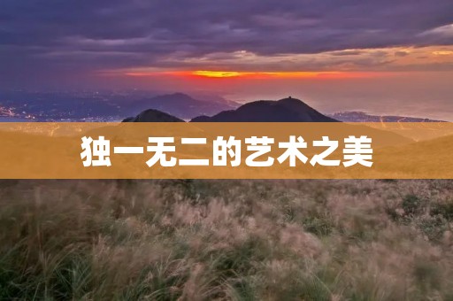独一无二的艺术之美