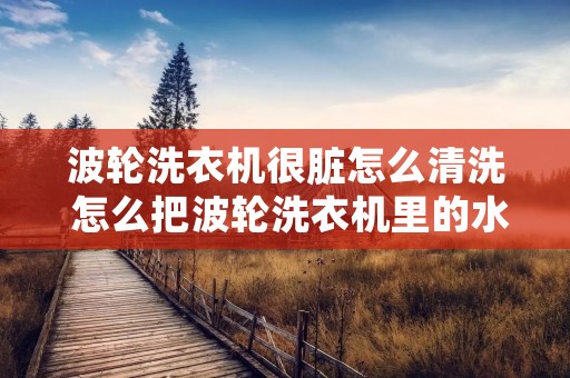 波轮洗衣机很脏怎么清洗 怎么把波轮洗衣机里的水放干净