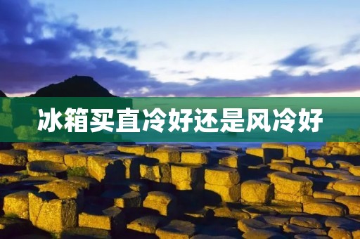 冰箱买直冷好还是风冷好：详细比较与分析