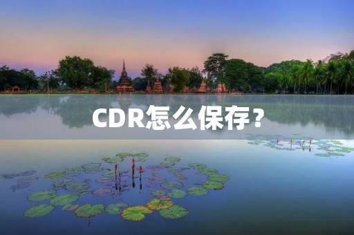 CDR怎么保存?