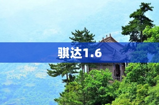 骐达1.6:出色的性能与卓越的驾驶体验 骐达1.6:出色的性能与卓越的驾驶体验