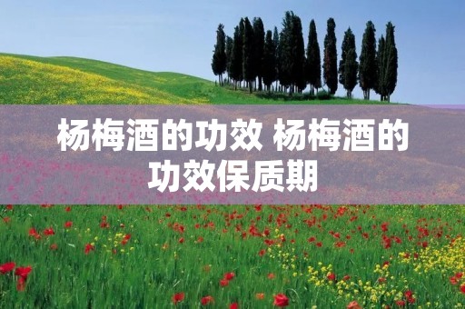 杨梅酒的功效 杨梅酒的功效保质期