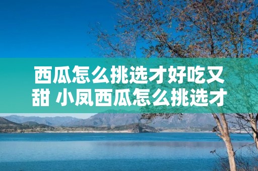 西瓜怎么挑选才好吃又甜 小凤西瓜怎么挑选才好吃又甜
