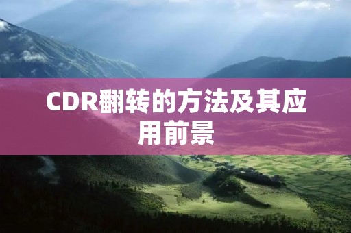 CDR翻转的方法及其应用前景