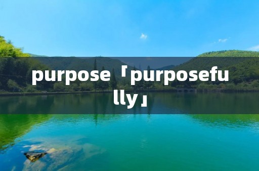 purpose「purposefully」