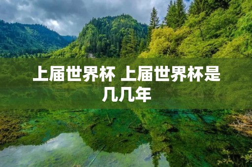 上届世界杯 上届世界杯是几几年 上届世界杯 上届世界杯是几几年