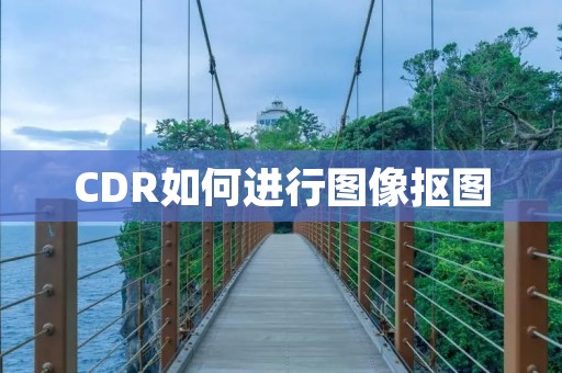CDR如何进行图像抠图
