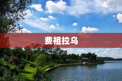 费祖拉乌：一位杰出的足球运动员和领袖