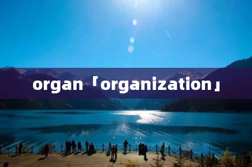organ「organization」