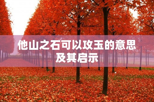 他山之石可以攻玉的意思及其启示