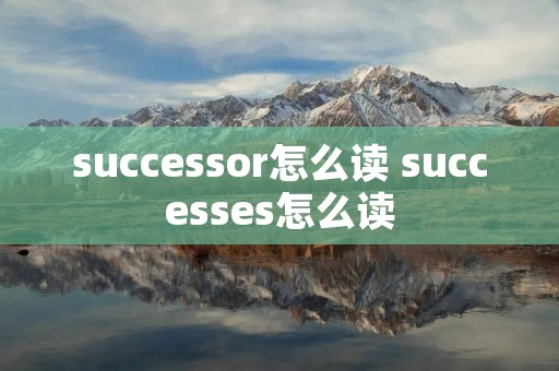 successor怎么读 successes怎么读