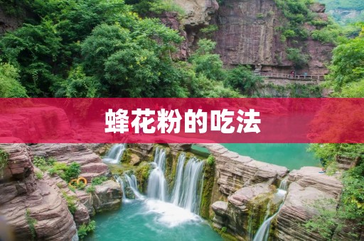 蜂花粉的吃法