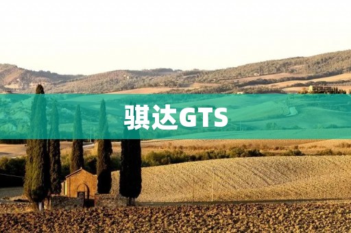 骐达GTS：突破性能极限的驾驶体验