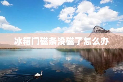 冰箱门磁条没磁了怎么办 冰箱门磁条没磁了怎么办