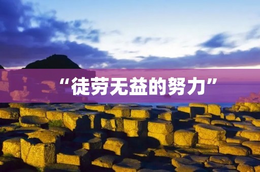 “徒劳无益的努力”：一场不见成效的奋斗