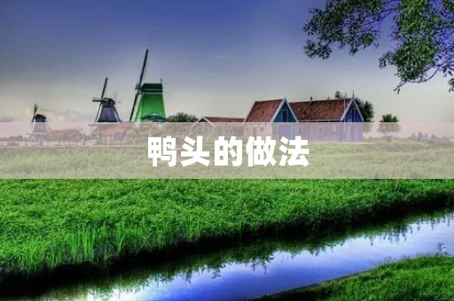 鸭头的做法：传统美味，口感丰富