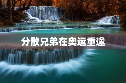 分散兄弟在奥运重逢