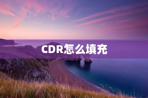 CDR怎么填充:解析中国存托凭证制度及填报要求