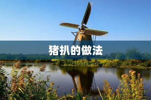 猪扒的做法:美味香嫩的家常佳肴 猪扒的做法:美味香嫩的家常佳肴
