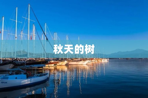 秋天的树:金黄之美
