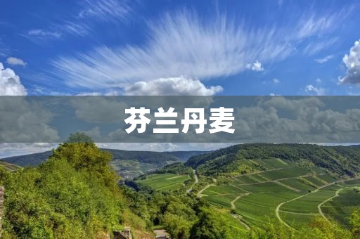 芬兰丹麦:北欧风情的对比与融合 芬兰丹麦:北欧风情的对比与融合
