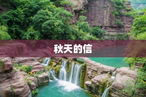 秋天的信:思绪在飘落的叶子间